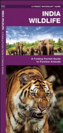 India Wildlife: A Folding Pocket Guide To Familiar Animals by James Kavanagh & Raymond Leung