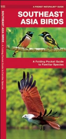 Southeast Asia Birds: A Folding Pocket Guide To Familiar Species by James Kavanagh