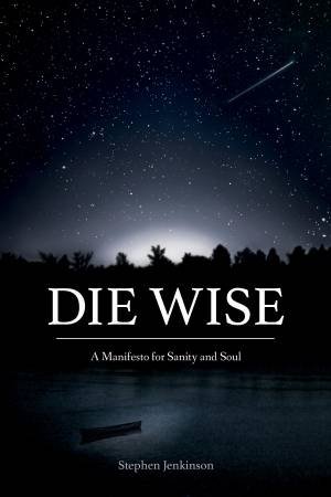 Die Wise: A Manifesto for Sanity and Soul by Stephen Jenkinson 