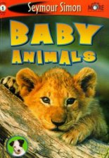 Baby Animals