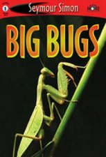 See More Big Bugs