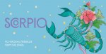 Scorpio Pocket Zodiac Cards