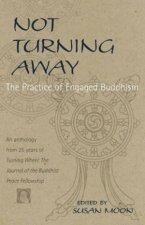 Not Turning Away The Practice Of Engaged Buddhism