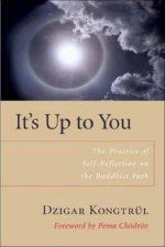 Its Up To You The Power Of SelfReflection On The Buddhist Path