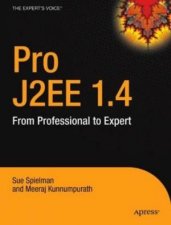 Pro J2ee 14 From Professional To Expert