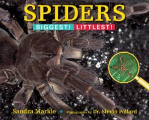 Spiders: Biggest! Littlest! by Sandra Markle & Simon Pollard