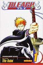 Bleach 01