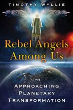 Rebel Angels Among Us The Approaching Planetary Transformation