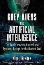 Grey Aliens And Artificial Intelligence