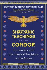Shamanic Teachings of the Condor