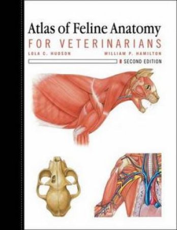 Atlas of Feline Anatomy For Veterinarians 2/e by Lola Hudson