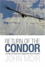 Return Of The Condor