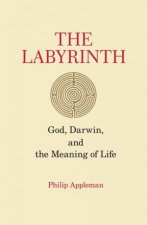 The Labyrinth God Darwin and the Meaning of Life