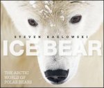 Ice Bear  The Arctic World of Polar Bears
