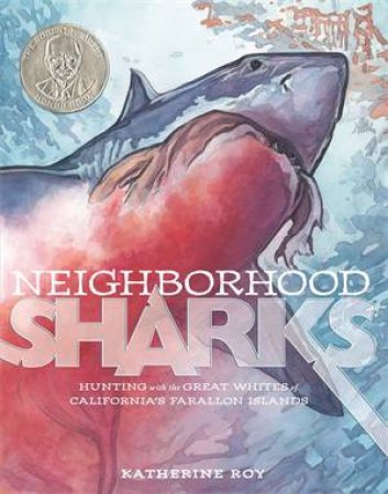 Neighborhood Sharks by Katherine Roy