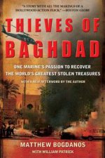 Thieves Of Baghdad One Marines Passion To Recover The Worlds Greatest Stolen Treasures