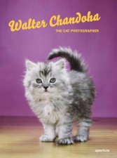 Walter Chandoha The Cat Photographer