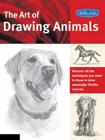 The Art Of Drawing Animals by Cindy Smith & Debra Kauffman & Linda Weil & Nolon