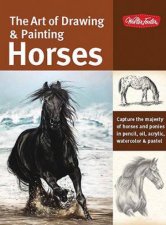 The Art of Drawing  Painting Horses