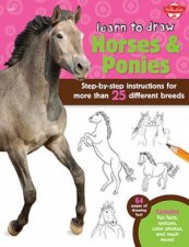 Learn To Draw Horses  Ponies