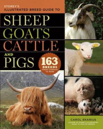 Storey's Illustrated Breed Guide to Sheep, Goats, Cattle and Pigs by CAROL EKARIUS