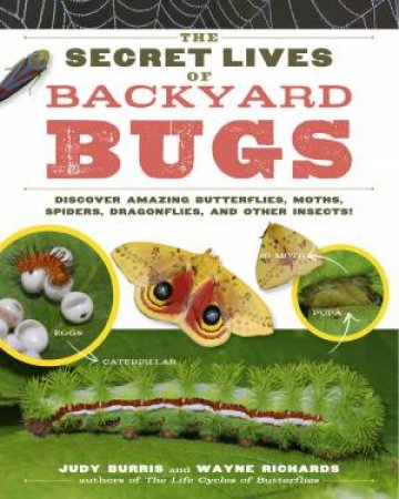 Secret Lives of Backyard Bugs by BURRIS / RICHARDS