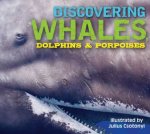 Discovering Whales Dolphins  Porpoises