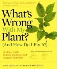 Whats Wrong With My Plant And How Do I Fix It