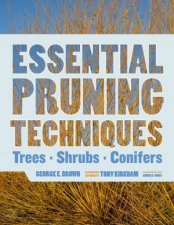Essential Pruning Techniques