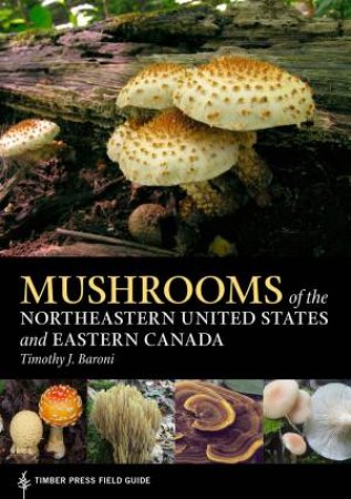 Mushrooms Of The Northeast by Timothy J Baroni