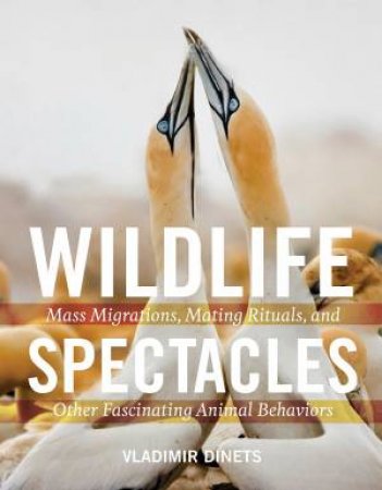 Wildlife Spectacles by VLADIMIR DINETS