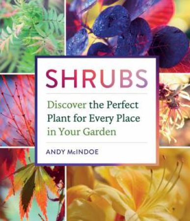 Shrubs by Andy McIndoe