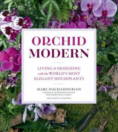 Orchid Modern by Marc Hachadourian