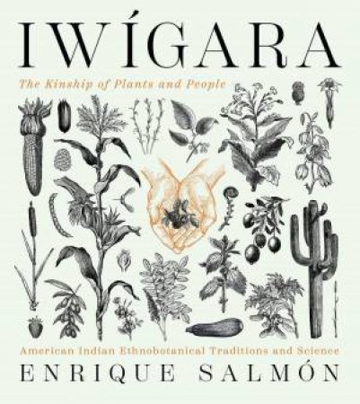 Iwigara: American Indian Ethnobotanical Traditions And Science by Enrique Salmon