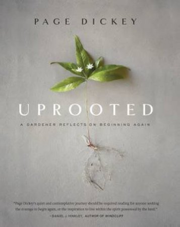 Uprooted: A Gardener Reflects On Beginning Again