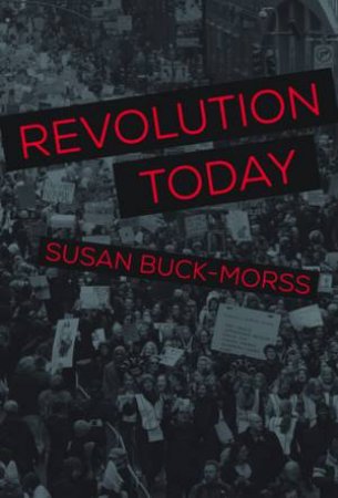 Revolution Today by Susan Buck-Morss