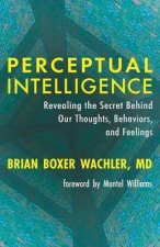 Perceptual Intelligence
