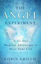 The Angel Experiment