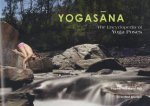 Yogasana The Encyclopedia of Yoga Poses