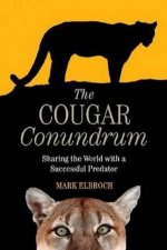 Cougar Conundrum