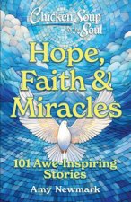 Chicken Soup for the Soul Hope Faith  Miracles