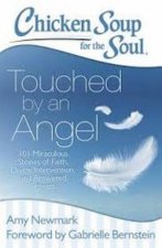 Chicken Soup for the Soul Touched by an Angel