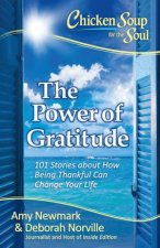 Chicken Soup For The Soul The Power Of Gratitude