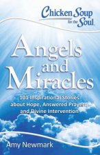 Chicken Soup For The Soul Angels And Miracles