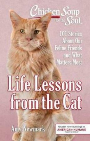 Chicken Soup For The Soul: Life Lessons From The Cat by Amy Newmark