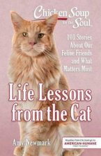Chicken Soup For The Soul Life Lessons From The Cat