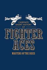 Fighter Aces Masters Of The Skies