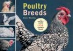 Poultry Breeds