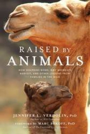 Raised By Animals: How Dolphins Bond, Why Meekats Babysit, And Other Lessons From Families In The Wild by Jennifer Verdolin