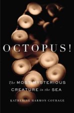 Octopus The Most Mysterious Creature in the Sea